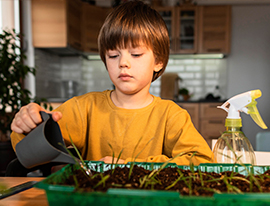 Initiation au jardinage écologique