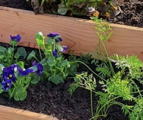 Format jardin multi-étages Pays de Grasse