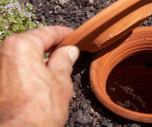 Formation Economiser l'eau au potager Pays de Grasse