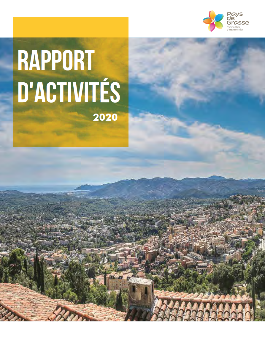 Rapport d'Activité 2020