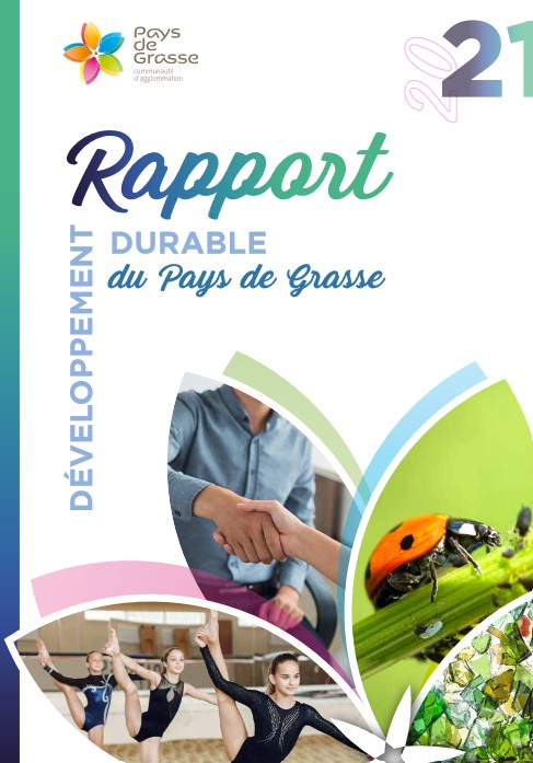 rapport dd 2021