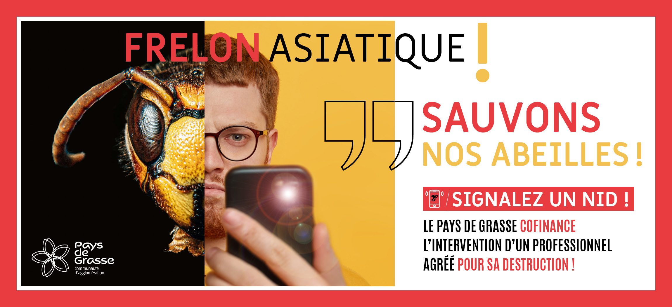 Frelon Asiatique... Sauvons nos abeilles!!