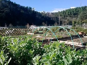 Jardins collectifs des Canebiers