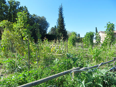 Jardin partagé Chiris