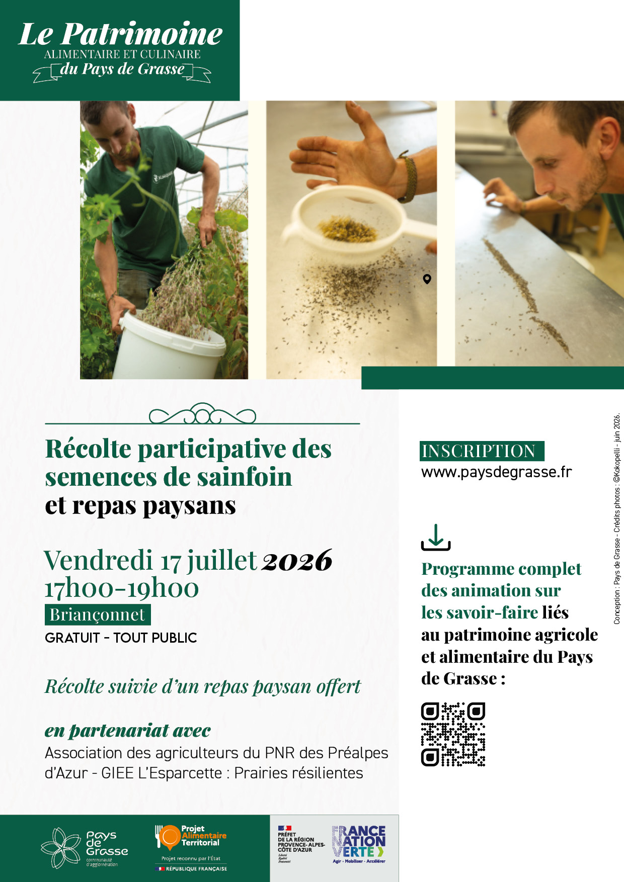 Récolte semences sainfoin Briançonnet