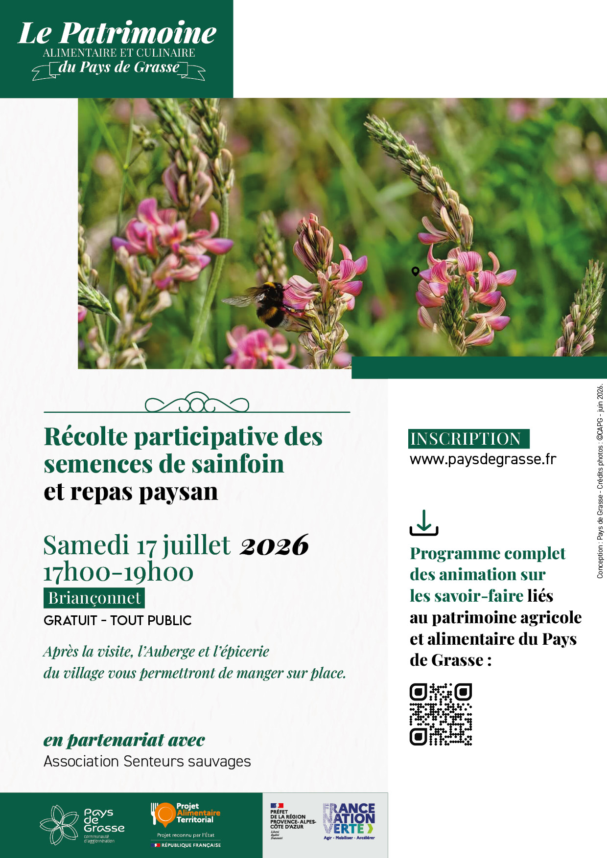 Récolte semences sainfoin Briançonnet