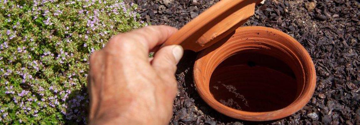 Formation Economiser l'eau au potager Pays de Grasse