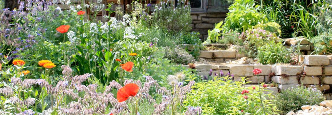 Formation jardin ornemental adapté à la sécheresse Pays de Grasse