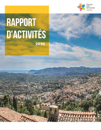 Rapport d'Activité 2020