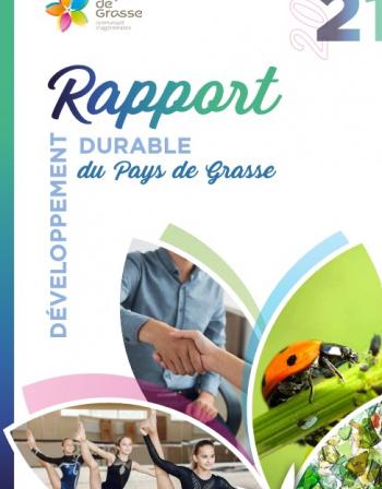 rapport dd 2021