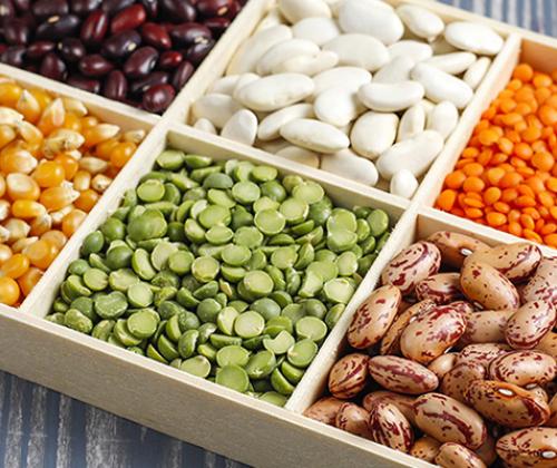 Formation jardinage Pays de Grasse