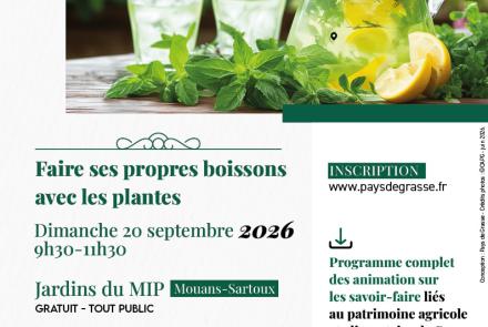 formation boisson plantes pays de grasse