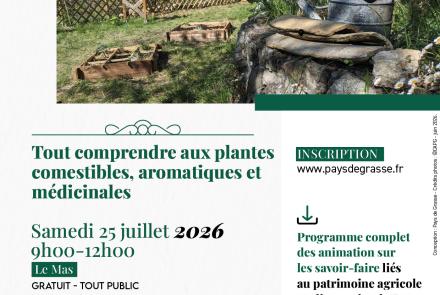 Atelier plantes comestibles aromatiques et médicinales Le Mas CAPG